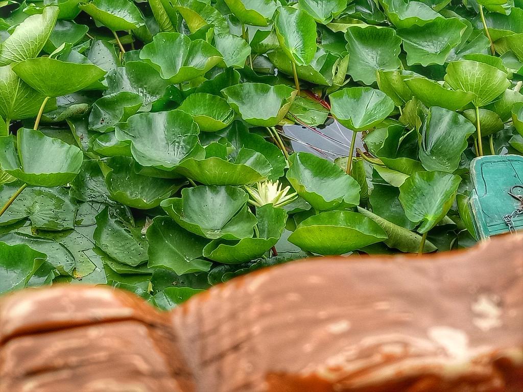 New Bul Bul Group Of Houseboats Srinagar Hotell Durgjan Eksteriør bilde